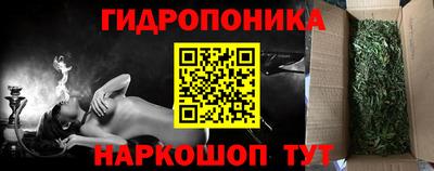 трава Будённовск