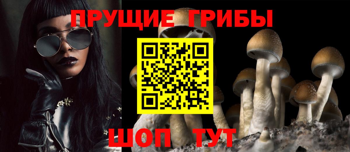 Галлюциногенные грибы Psilocybine cubensis  Вход с VPN  Псилоцибиновые грибы Psilocybe  Гусиноозёрск 